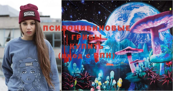 бошки Алексин